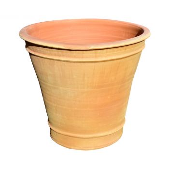 Citrus Terracotta Pot