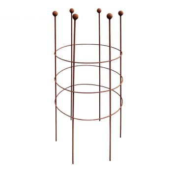 Metal Peony Stand