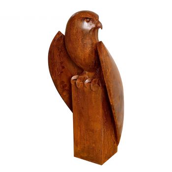  Peregrine Falcon