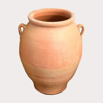 Amphora Pot