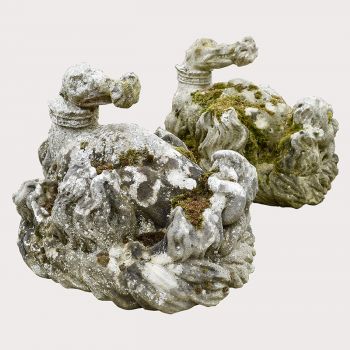 Rare Pair of Salamander Dragons