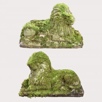 Mossy Lions