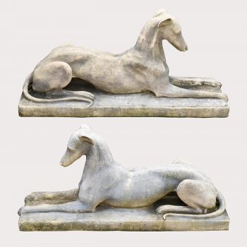 Reclining Greyhounds