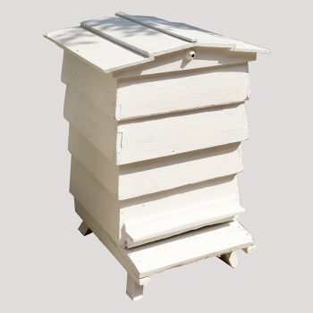 Bee Hive** 