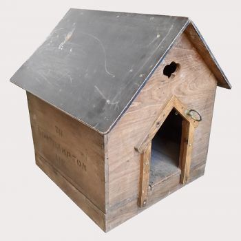 Dog Kennel with Electrics