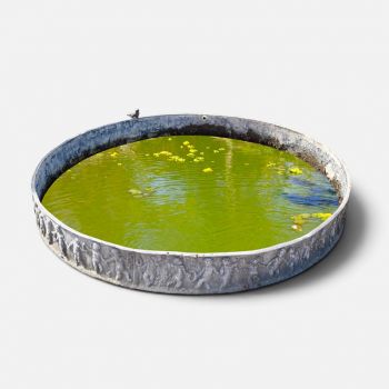 Bromsgrove Guild Fountain Pool